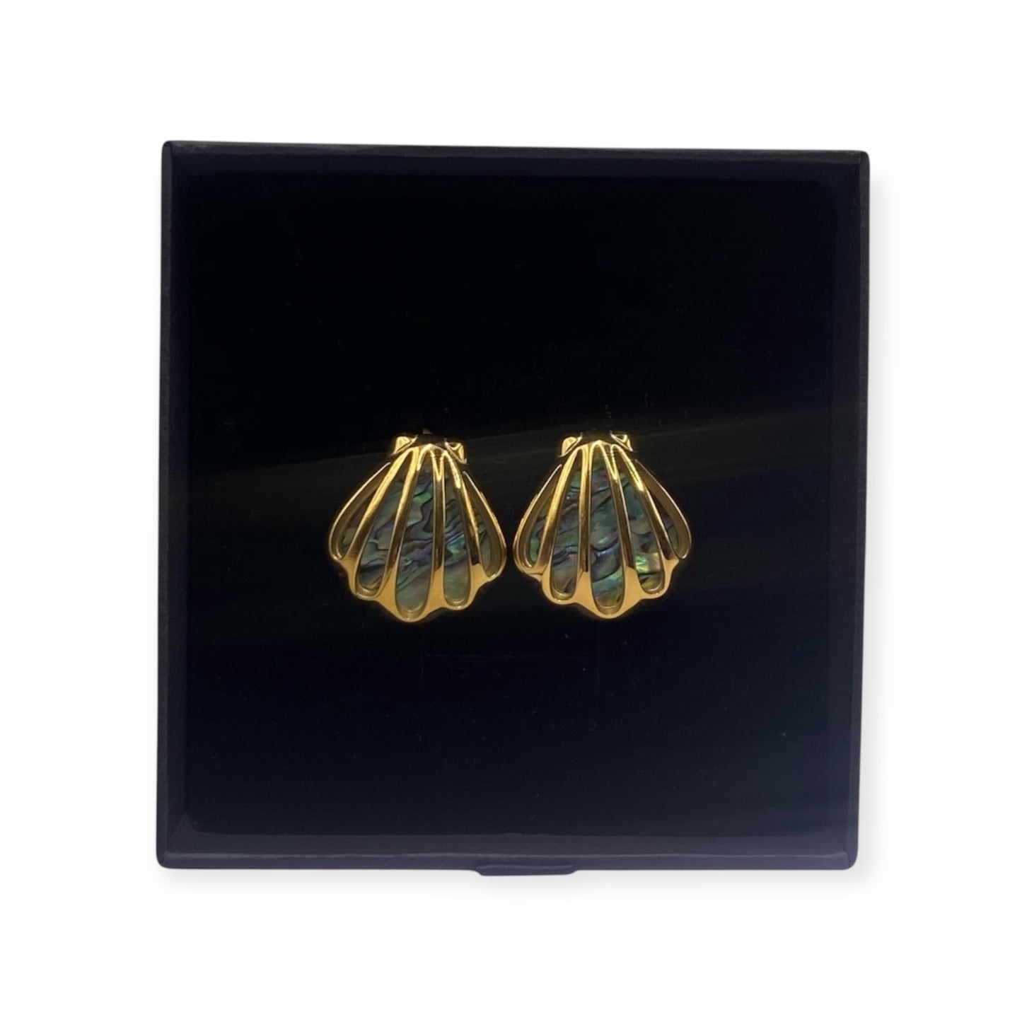 VIBRANT AOTEAROA PĀUA EARRINGS SEASHELL DESIGN 18K GOLD PLATED